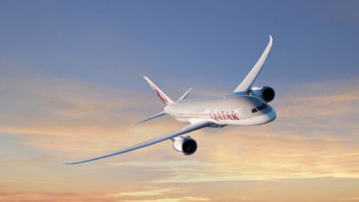 Qatar 787-aircraft-air-to-air-h21_0
